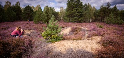 Lieberoser Heide Landschaft | Lens: EF16-35mm f/4L IS USM (1/640s, f4.5, ISO100)